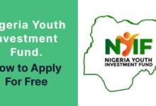 The Nigeria Youth Investment Fund (NYIF), with a budget of N110 billion, is an initiative aimed at supporting young Nigerian