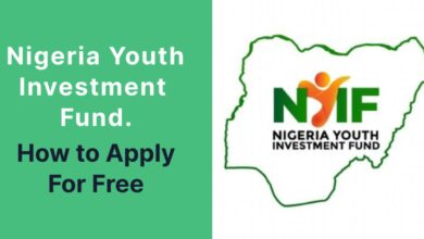 The Nigeria Youth Investment Fund (NYIF), with a budget of N110 billion, is an initiative aimed at supporting young Nigerian