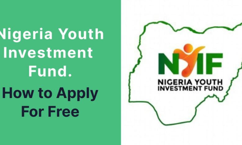 The Nigeria Youth Investment Fund (NYIF), with a budget of N110 billion, is an initiative aimed at supporting young Nigerian